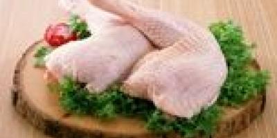 قیمت مصوب مرغ اعلام شد+ فیلم